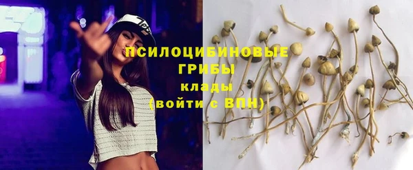 mix Армянск