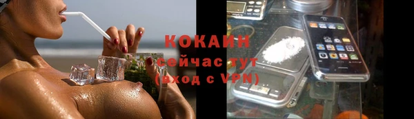 трава Арсеньев