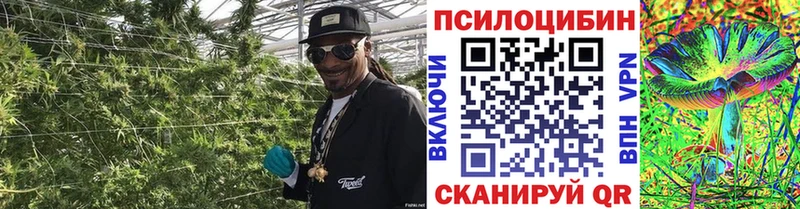 Псилоцибиновые грибы мицелий  Приволжск 